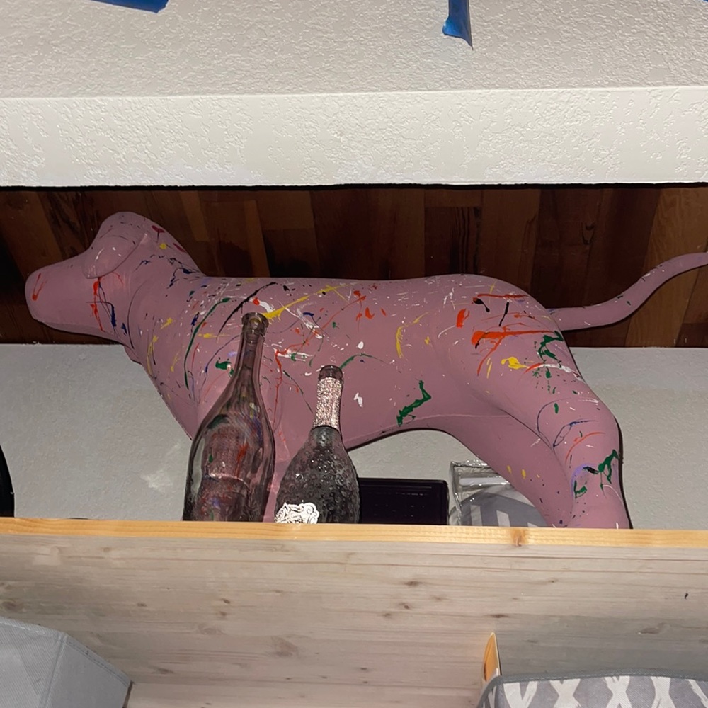 Display dog